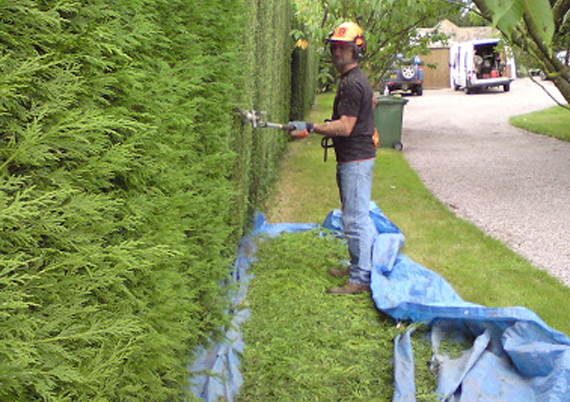 gardening